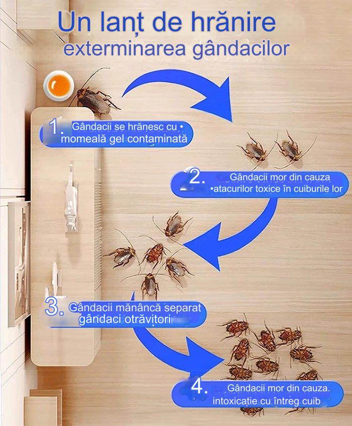 【10 cutii】Plasture de momeală cu gel puternic pentru uciderea gândacilor 3723451