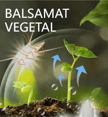 🌱🌱【Cumpărați 3, primiți 3 gratuit】Soluție lichidă care activează plante și flori